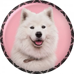 Foto personalizada redonda...