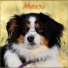 Square adhesive resin memorial photo plaque 5.9" Personalized