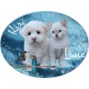 Oval adhesive resin memorial plaque Horizontal 7.9 x 5.9" Personalized