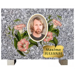 Plaque 30x21 cm avec photo...