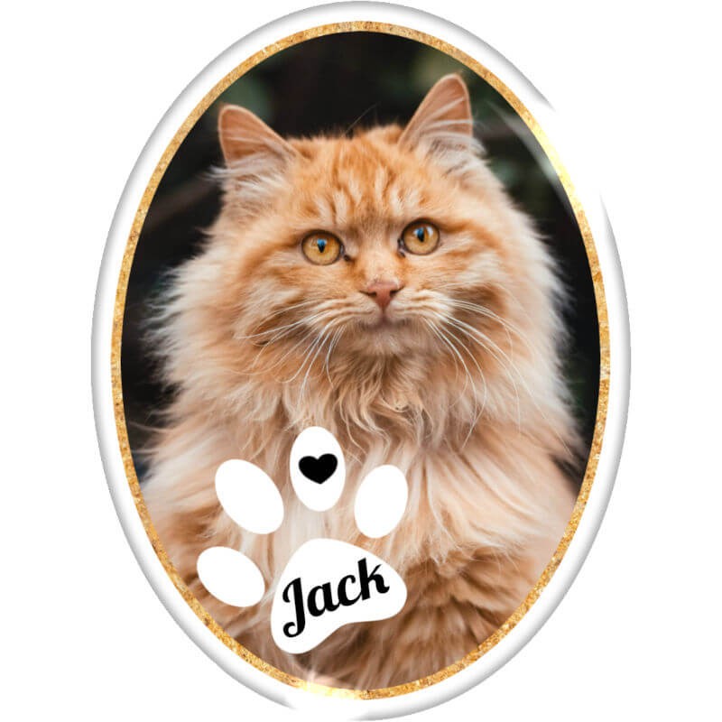 Médaillon Funéraire Ovale Vertical 8x10,5 cm Photo Personnalisé Gil MT