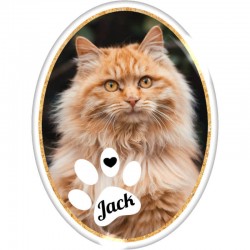 Foto personalizada vertical...